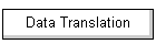 Data Translation